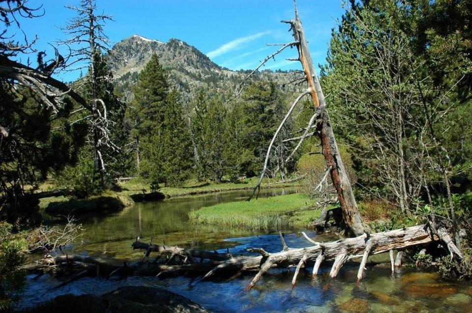 Отель Pensio La Creu Эстерри-д'Анеу Экстерьер фото